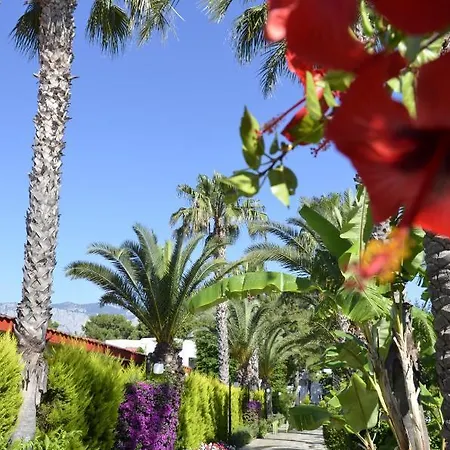 Emelda Sun Club 5*